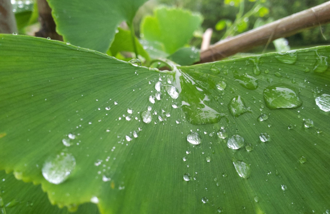 不花钱能用的ip攻击器网页版